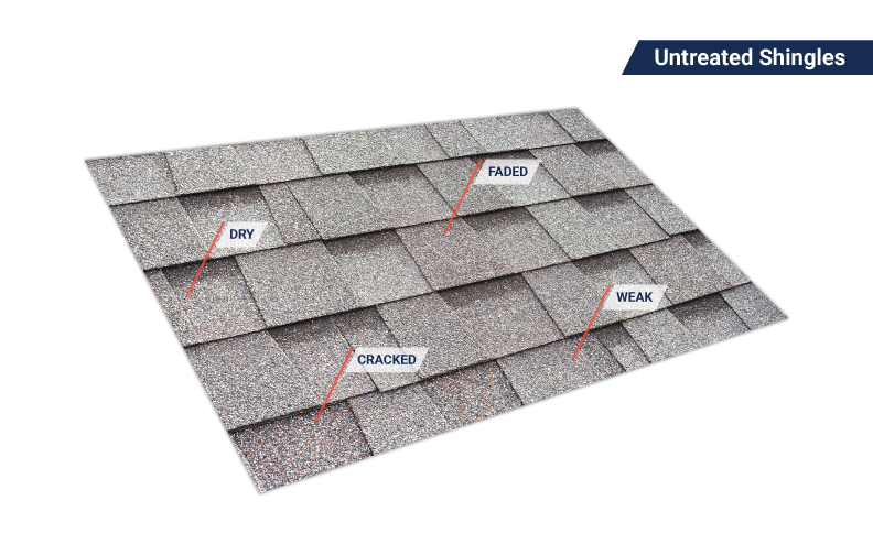 Untreated asphalt shingles — dry, faded, cracked, weak